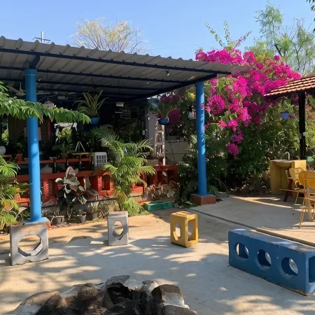 Wilderness Jungle Camp