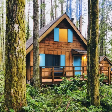 🏔 Blue Ox Basecamp Cabin: WiFi, Hot tub, Fireplace by Mt Rainier National Park