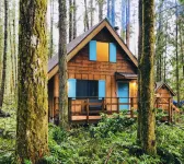 🏔 Blue Ox Basecamp Cabin: WiFi, Hot tub, Fireplace by Mt Rainier National Park - Chalets