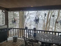Cottage near Pittsburgh - Pet Friendly, No Pet/Cleaning Fees, Secluded & Quiet - balcony