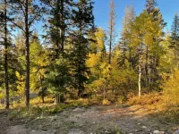 Peak Out Haven Cabin near Terry Peak Ski Lodge - Chalets