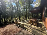 Riverside Cabin Near Torch Lake – Kayaks Included! - 4 tähden