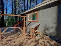 Forest Mountain Cabin, minutes to Downtown, trails, rivers & lakes - Alppimaja