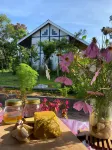 Pea Nature Hotels near Simpang 4 Sipahutar Tarutung