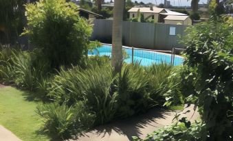 a large backyard with a swimming pool surrounded by lush greenery and palm trees , creating a serene and inviting atmosphere at Hi-Way Motel Grafton - Contactless