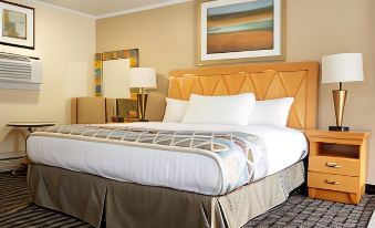 Mount Royal Inn - Housity