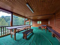 Pensiunea Agroturistică Piscul Soarelui - Homestays
