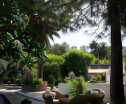 Villa del Monte Hotels in Gran Canaria