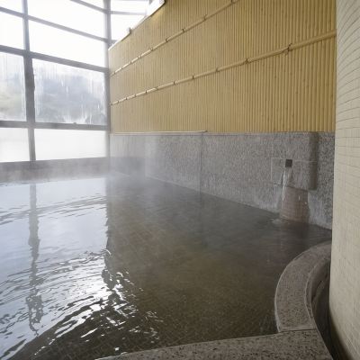 スパ・大浴場 つるつるの湯 下呂温泉 みのり荘の写真