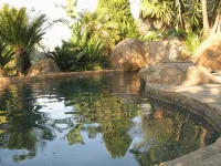 Acacia House Executive Suite