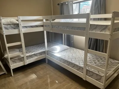 Palm Hamilton Backpacker Hotels in Morningside