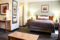 Sonesta ES Suites Dallas - Las Colinas Hotels near University of Dallas