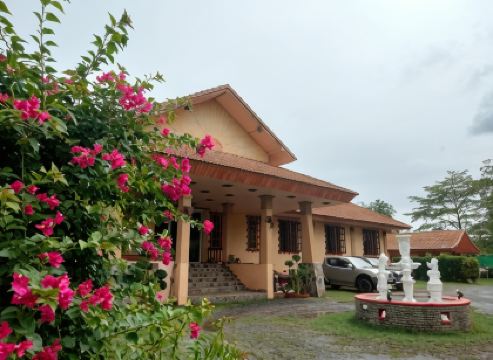 ช้างไทย คอมฟอร์ต เกสท์เฮาส์