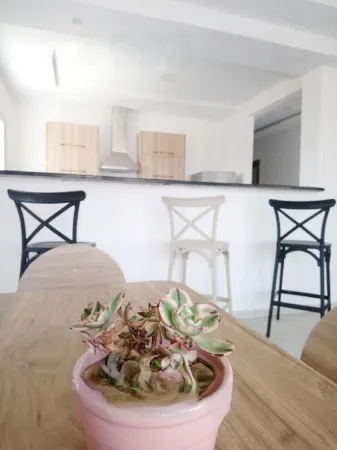 Second Position Beach Dar Allouche Kélibia Rfi Rdc