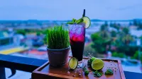 Magnolia Hotel Cam Ranh