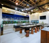 deSatu Hotel