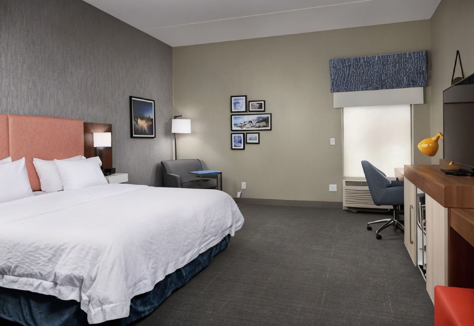 햄프턴 인 나이아가라 폴스