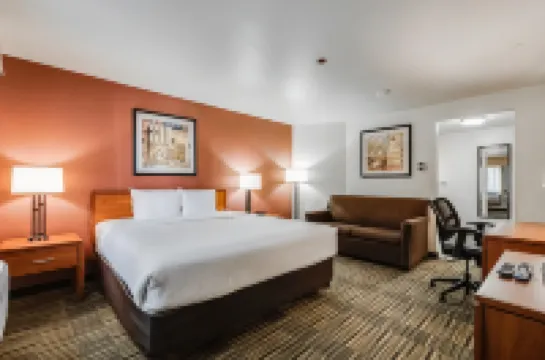 퀄리티 인 페탈루마