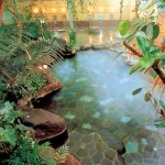 Hotel Shinayoshi - Hot Springs