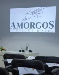 Amorgos Boutique Hotel