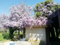 Rosy's Campaign Hotel in zona Wanderland