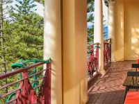 MAD Monkey Hostel Coogee Beach Hotels in Coogee