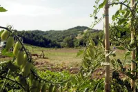 ca' D'la Pèisa - chambre d’hôtes