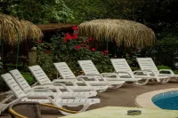 Hotel Perunika - Pool