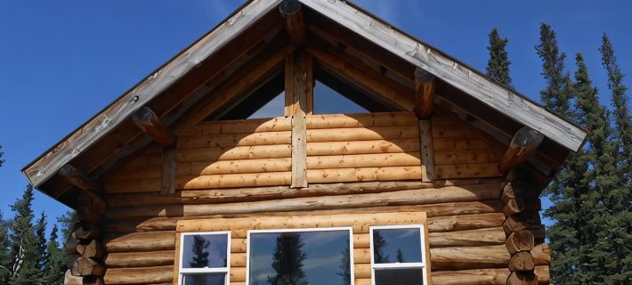 Experience True Alaska Secluded Cabin Just 15 Miles from Denali National Park. Hotels in Denali Borough
