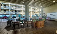 Leave Reality Behind: Kona's Ultimate Oceanfront Getaway with Top Superhost Care - 4星級