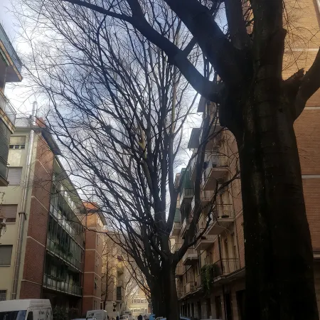 Complete apartment adjacent to historic center