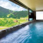 Hotel Green Plaza Hakuba - Hot Springs