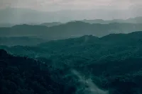 Lannawild Resort