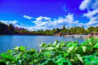 Yunqi Muyu Hotel (Kunming Changshui Airport Branch) - romantis