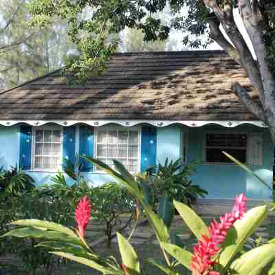 Baywatch - seaside villa, modern, spectacular location & garden, pool, cook Hotel Exterior