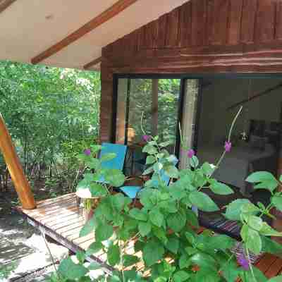 Nalia x1f343; Hotel Baliyana Lodge in the x1f49a; of nature. Hotel Exterior