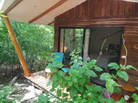 Nalia x1f343; Hotel Baliyana Lodge in the x1f49a; of nature. - Bungalows
