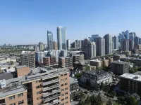 Cozy modern nest