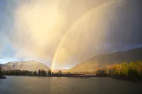 Glacier National Park family-friendly flat - Apartments