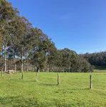 Cherswood Farm