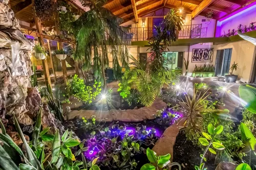 Beautiful Oasis Home - 5 min to Strip & Airport! - Bungalows