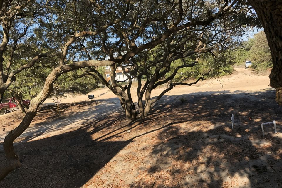 Photo 6 of 6