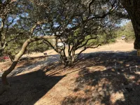 Newly Built 2019 Vacation Oasis- Enjoy 4WD Beaches & Wild Horses - Beach