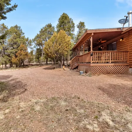 Comfy, Cozy Cabin in the Mountains with a large front porch. Pet-Friendly!
