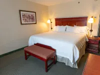 Hampton Inn by Hilton Guadalajara - Airport - Wifi