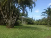 Special quiet, romantic, cozy home in a special place, Heavenly Hana. Lucky you!