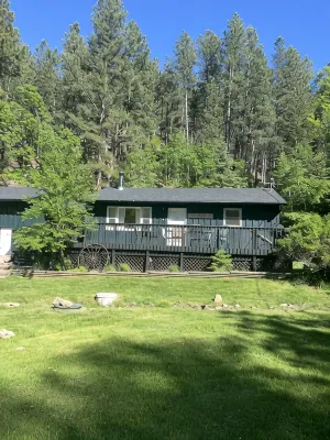The Golden Slipper Cabin - Hytter