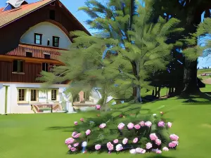 Le Tillau