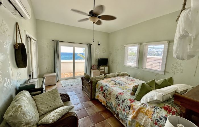 Private Gated Ocean Front Villa Pool&Tide Pool Cane Bay Beach Wifi Wedding Venue