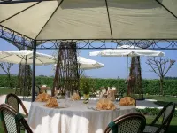 Borgo Ronchetto Hotel Ristorante Hotel a Salgareda